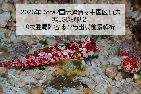 nian-guo-ji-yao-qing-sai-zhong-guo-qu-yu-xuan-sai-zhan-dui-jue-sheng-ju-zhen-rong-bo-yi-yu-chu-xian-qian-jing-jie-xi-2-824.jpg