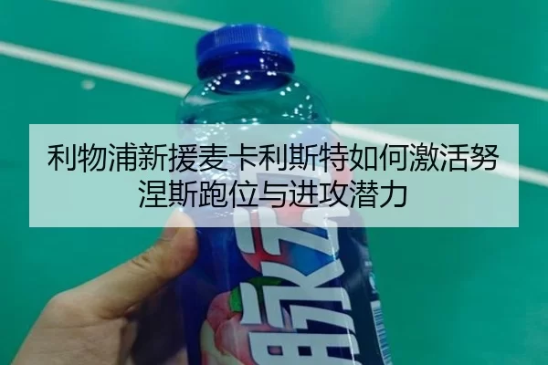 li-wu-pu-xin-yuan-mai-ka-li-si-te-ru-he-ji-huo-nu-nie-si-pao-wei-yu-jin-gong-qian-li-2-454.jpg