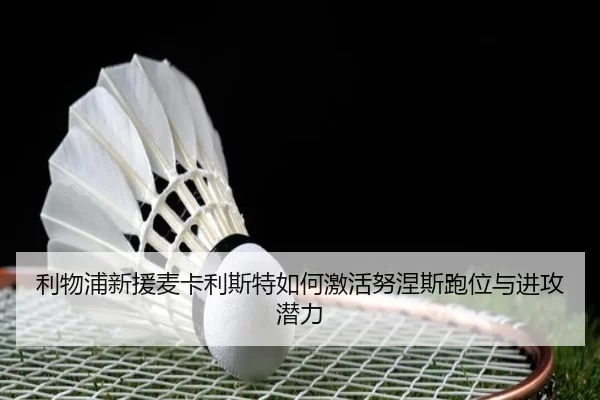 利物浦新援麦卡利斯特如何激活努涅斯跑位与进攻潜力