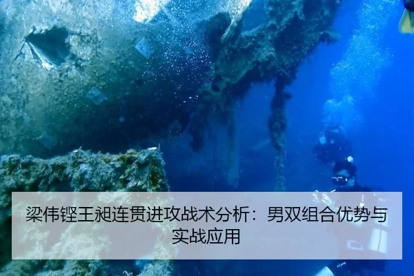 liang-wei-keng-wang-chang-lian-guan-jin-gong-zhan-shu-fen-xi-nan-shuang-zu-he-you-shi-yu-shi-zhan-ying-yong-3-566.jpg